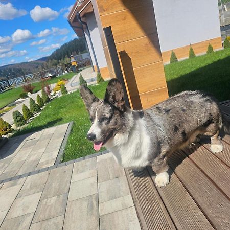 Dom Na Wzgorzu Slonce Na Wylacznosc Jacuzzi Elektryczne Sauna Rowery Zawóz Buitenkant foto